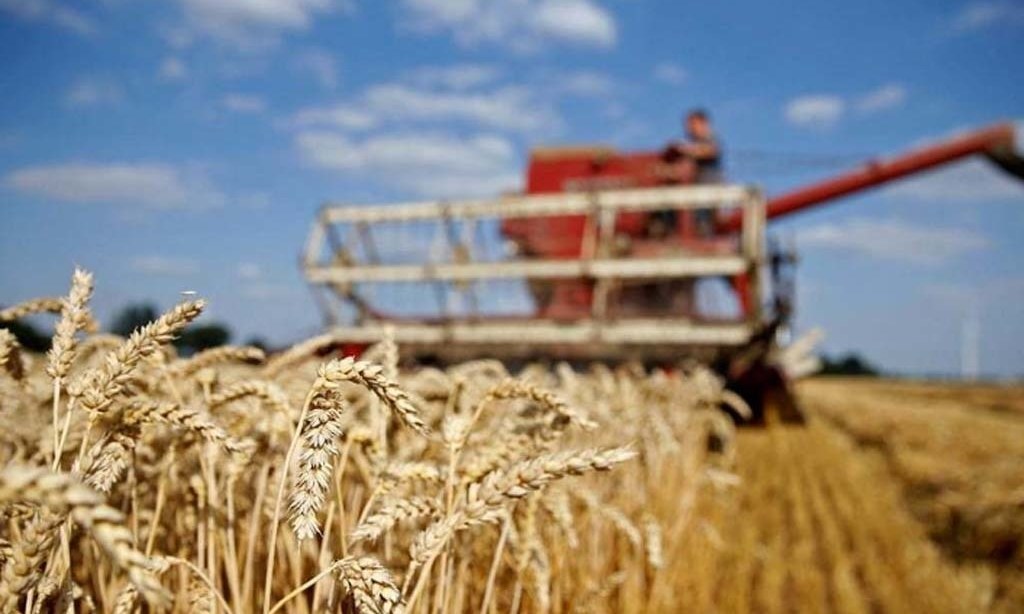 CBOT wheat may retest support at $5.66-1/2