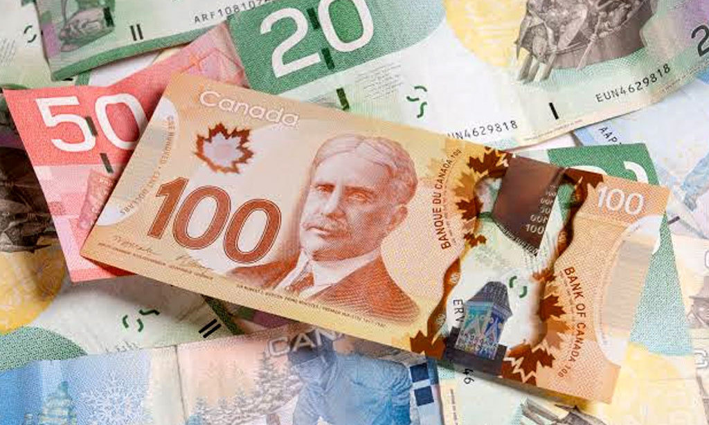 Loonie steadies as rising COVID-19 cases weigh on sentiment