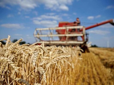 CBOT wheat may test resistance at $5.89-3/4