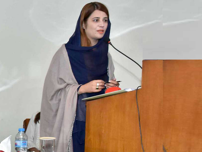 Law ready, cosmetics industries must limit mercury usage to 1 ppm by Jan 1: Zartaj Gul