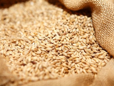 China sells 484,427 tonnes of wheat at auction of state reserves
