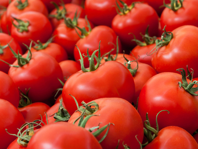 Growers seeks export of tomato, onion Growers seeks export of tomato, onion