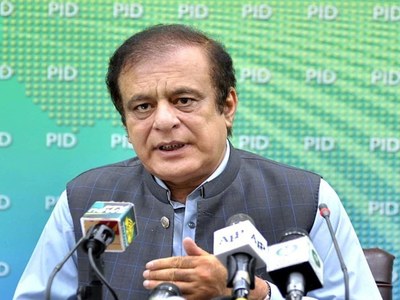 PDM leaders fail to garner masses' support due to personal agendas: Shibli