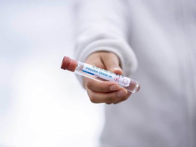Seoul launches Covid tests for pets Seoul launches Covid tests for pets
