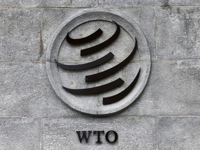 WTO delays ruling on US metal tariffs to second half of 2021 WTO delays ruling on US metal tariffs to second half of 2021