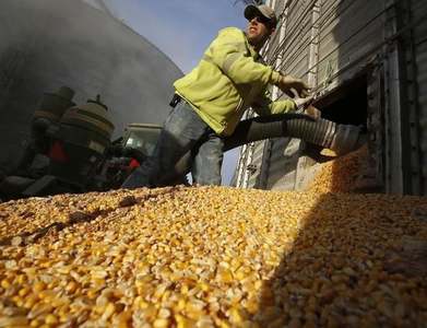 Brazil soy harvest moves slowly, corn advances despite early-season drought