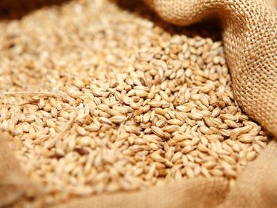 Pakistan&rsquo;s upcoming national food security challenge