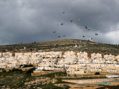 European lawmakers urge action against Israel's 'de-facto annexation'