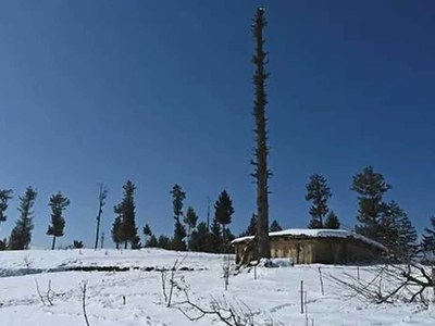 India's evictions of forest dwellers fuels Kashmir fears