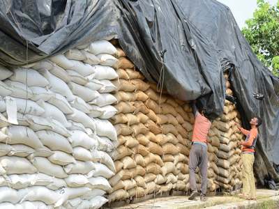 High prices lift Argentina's March grains exports revenue to 18-year high
