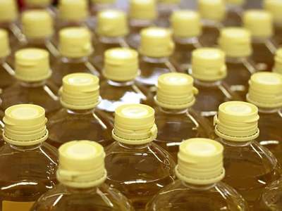 Palm unchanged on anticipation of higher production and exports