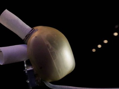 French firm makes first sale of artificial heart French firm makes first sale of artificial heart