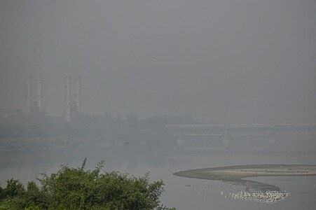 'It's killing us': Delhi's smog-choked roads take their toll 'It's killing us': Delhi's smog-choked roads take their toll