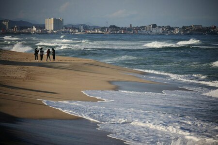 South Korea's beaches face threat from development, rising seas South Korea's beaches face threat from development, rising seas