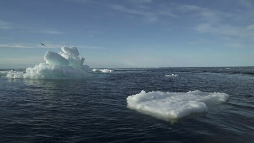UN agency confirms 2020 Arctic heat record