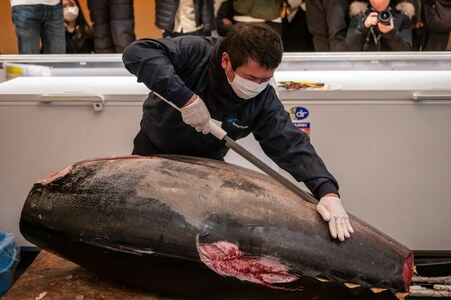Japan tuna goes for $145,000 as pandemic dampens New Year auction