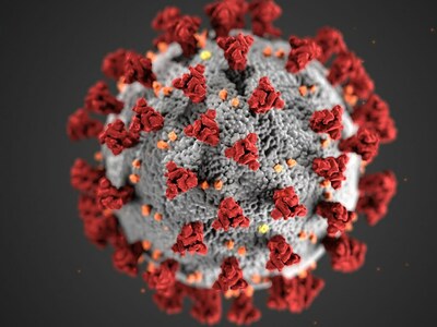 Coronavirus: Latest global developments