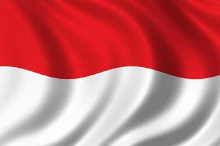 Indonesia's Q4 GDP accelerates on easing COVID-19 curbs, high exports