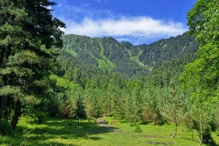 Global nature pact urged to reform harmful subsidies of $1.8 trln a year