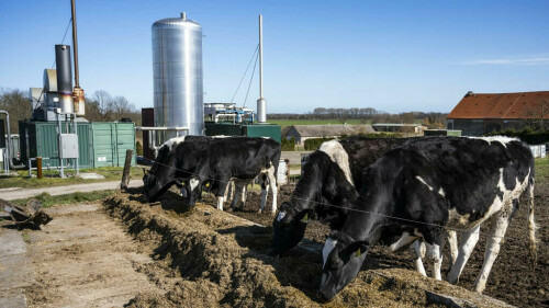 Germany looks to farm fumes in breakup with Russian gas