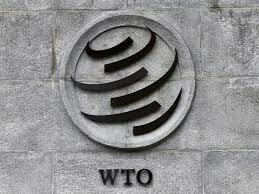 War in Ukraine could halve 2022 global trade growth: WTO