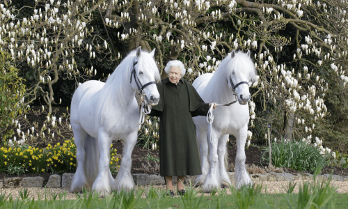 Queen Elizabeth&rsquo;s 96th birthday marked with gun salutes