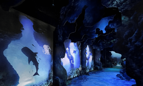 Augmented reality exhibit in New York looks at impact of climate change