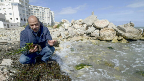 &lsquo;Lungs of the Mediterranean&rsquo; at risk