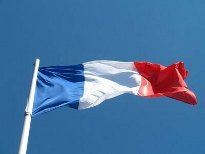 Polls open in French parliamentary election