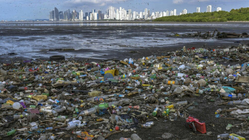 Oceans saved us, now we can return the favour