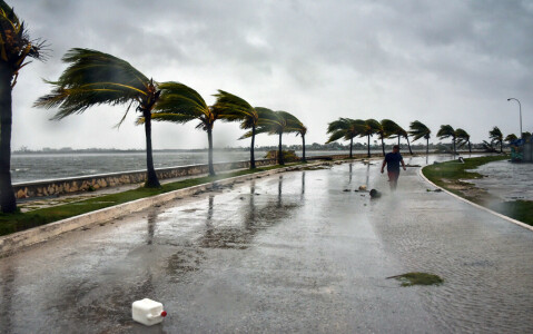 Tropical storm Bonnie becomes third hurricane of season off Mexico coast