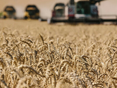 Russia occupies 22% of Ukraine farmland: NASA
