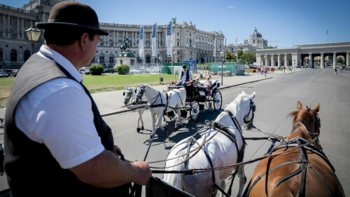 Vienna&rsquo;s horse-drawn carriages feel the heat