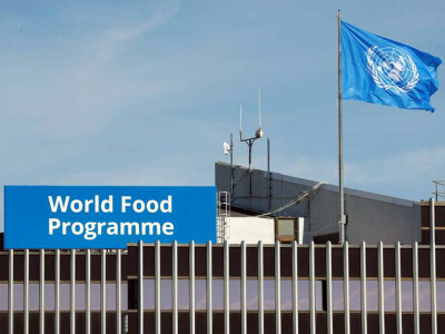 UN World Food Programme optimistic on Ukraine grain export deal