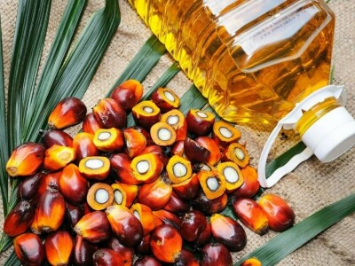 Palm drops 5% for second day as Indonesia cuts reference price