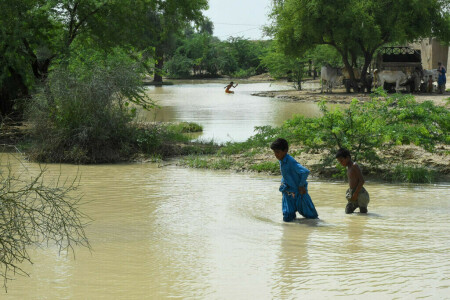 Death toll rises to 196 as intermittent rain continues in Balochistan