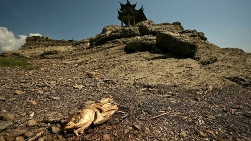 China warns of &lsquo;severe&rsquo; threat to harvest from worst heatwave on record
