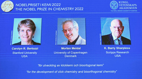 Two Americans and a Dane win chemistry Nobel