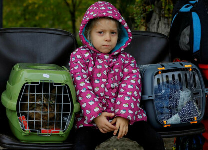 Russian strikes cause blackouts in much of Ukraine, more flee Kherson