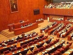 Ministry can&rsquo;t force an airline to operate on any route: Senate panel