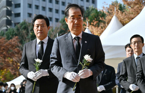 South Korea vows probe into deadly Halloween crush