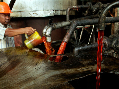 Palm clocks 9% weekly gain on stronger rival oils, weaker ringgit