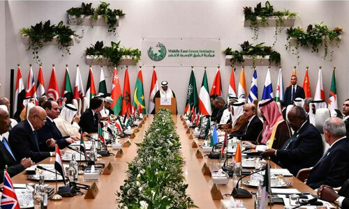 'Nature-based solutions' heart of Pakistan&rsquo;s climate action agenda: PM Shehbaz