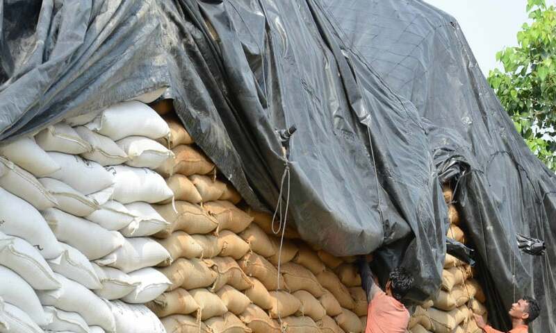 Lahore Grain Market Rates