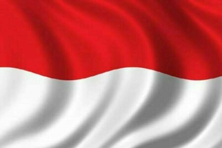 Indonesia’s forex reserves rise to $134.0bn at end-November Indonesia’s forex reserves rise to $134.0bn at end-November