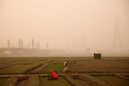 Air pollution blights India&rsquo;s capital