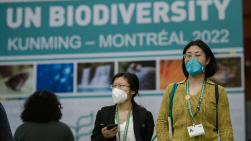 China set to offer compromise to save summit nature accord