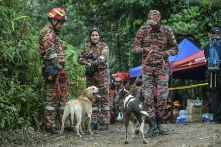 Malaysia police questions campsite operator after landslide kills 24