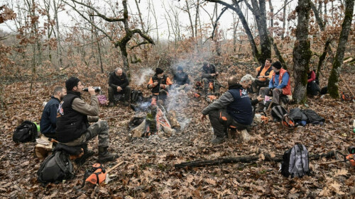 Greek woodcutters give energy crisis the chop