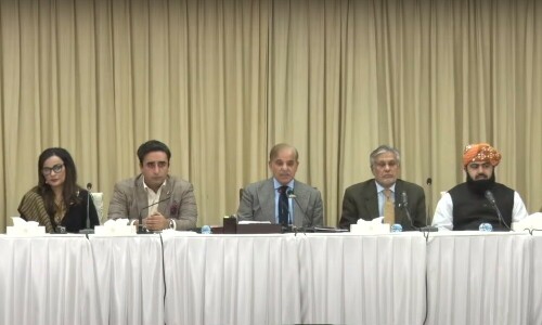 Ball is in our court now, says PM Shehbaz post Geneva conference